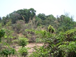 1727520042008(59).JPG