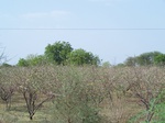 1770322042008(81).JPG
