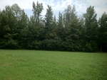 2012-09-15_23-43-51_TN-LC-15-2.JPG