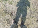 2017-09-25_15-12-59_20170904_location 1 ground cover.jpg