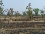 474701052008(14).JPG