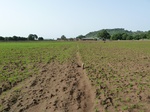 18901P1000743.JPG