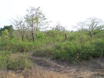498319042008(82).JPG