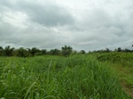 18292P1000128.JPG