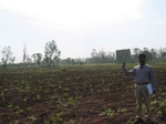 7862gt067b-cropland-rainfed-supplemental-mixed-crops.jpg