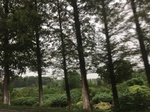 2017-09-10_20-39-14_37F88984-2287-4FB8-9205-A38F54AE9887.jpg