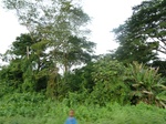 19858P1010708.JPG