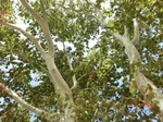 2012-10-02_21-26-49_CIMG0129.JPG