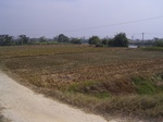 3257R0017291.JPG