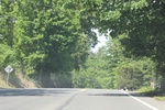 2022-06-11_15-55-39_6D056104-5BC8-44A9-888C-5B859FA832C0.jpeg