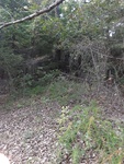 2020-10-06_18-49-41_20201006_180450.jpg