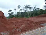 19911P1010761.JPG