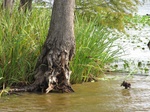 2012-09-10_20-51-36_AR-FK-2-2.JPG