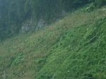 2012-09-08_19-26-35_RIMG0126.JPG