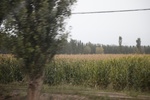 2019-10-15_12-34-09_4E8A2025.JPG