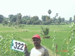 74700322c-irrigated-canal-rice.jpg