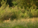 2017-09-25_09-38-21_lakecreek5.jpg