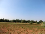 41279CIMG8127.JPG