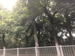 2017-09-10_20-39-06_5E191179-98E9-4EB1-9706-77A9ADA2D386.jpg