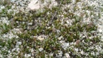2012-09-27_14-25-43_287.JPG
