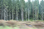 2018-04-14_14-18-46_2017-06-12 06.35.35.jpg