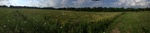 2017-07-07_14-23-11_image1.JPG
