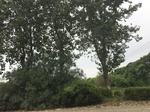 2017-09-12_10-45-07_2D72981B-995F-4776-A1C0-D718B422D2D0.jpg