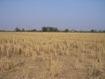 4605RIMG0043.JPG