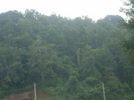 2012-09-08_19-26-37_RIMG0083.JPG