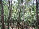 496819042008(65).JPG