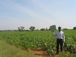 7806gt041a-rainfed-mixed-crops.jpg
