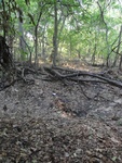 2012-09-24_10-40-18_DSC03072.JPG