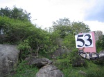 832753-forest-rocky-outcrop-a.jpg