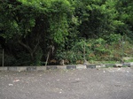 14527IMG_4886.JPG