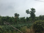 2017-09-10_07-08-48_6FD72836-9968-4969-9CD1-87FB01D92804.jpg
