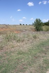 2012-09-12_19-28-04_CO-LK-1-2.JPG