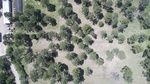 2017-06-12_13-57-38_DJI_0055.jpg