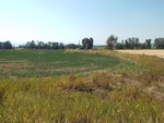 2017-09-02_17-10-21_DSCF2948.JPG