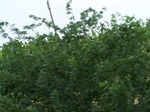 485402052008(49).JPG