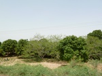 19012P1000856.JPG