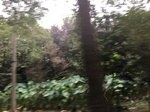 2017-09-10_20-45-50_C9A22E96-9F50-4C69-813D-B1BB0BBAD2E5.jpg