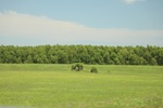 2022-06-11_16-04-45_5D09F6CB-3FD5-404F-B1F2-DF442C9A4CB6.jpeg