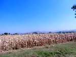 42278CIMG9563.JPG