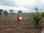 12327GT224_cassava_harvested.JPG