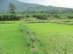 2012-09-07_10-05-25_CIMG6646.JPG