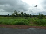 20885P1020751.JPG