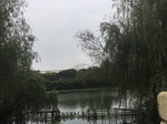 2017-09-10_20-45-09_0793D640-42E4-491B-A936-2CBEB204A20D.jpg
