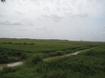 15598IMG_4669.JPG