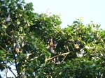 2012-10-17_20-32-17_394.JPG