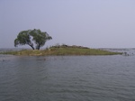 717R0015225.jpg
